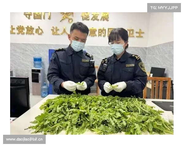 旅客行李藏毒入境被查 海关严密查验揭露跨境贩毒新手段 旅客行李藏毒入境被查 海关严密查验揭露跨境贩毒新手段